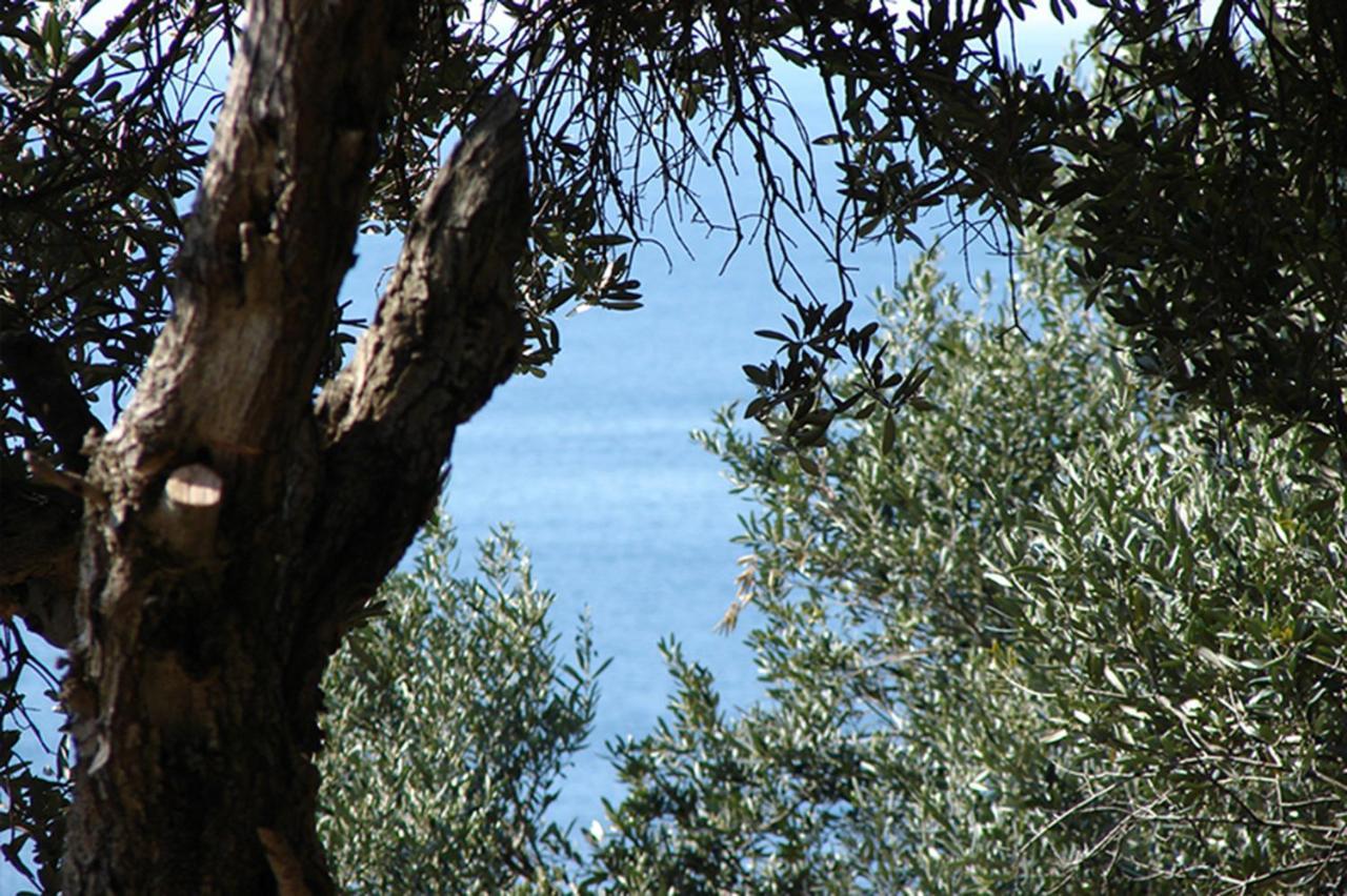 Luxury Bonbon Next To Banje Beach And Old Town, Great Location Dubrovnik Dış mekan fotoğraf